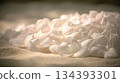 White Petals Scattered on Soft Surface Create a Peaceful Scene in Nature at Morning Light 134393301