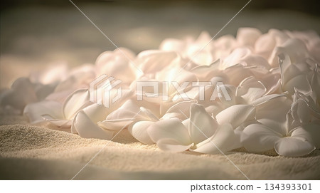 White Petals Scattered on Soft Surface Create a Peaceful Scene in Nature at Morning Light 134393301