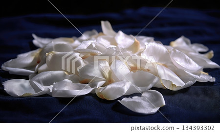 White Petals Scattered on Dark Fabric Create a Serene and Peaceful Scene in Soft Lighting White Petals Scattered on Dark Fabric Create a Serene and Peaceful Scene in Soft Lighting 134393302