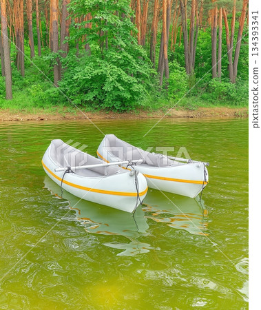 Inflatable Kayaks Floating on Calm Water Near Lush Green Trees in Summer 134393341