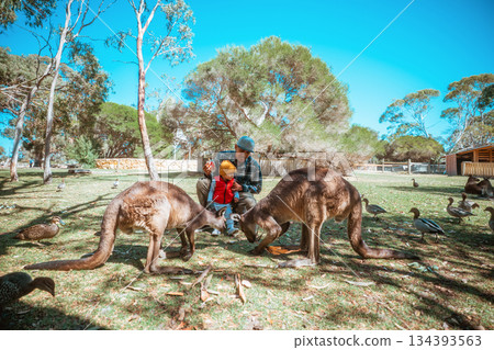 Enjoying a delightful family adventure feeding kangaroos at the wildlife park Enjoying a delightful family adventure feeding kangaroos at the wildlife park 134393563