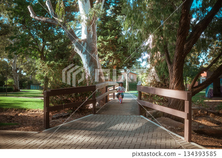 peaceful walk along shaded wooden boardwalk through lush trees and serene park landscape 134393585