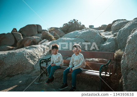 Two Young Boys Sitting Together on a Bench Surrounded by Rocks in Bright Sunlight Two Young Boys Sitting Together on a Bench Surrounded by Rocks in Bright Sunlight 134393638