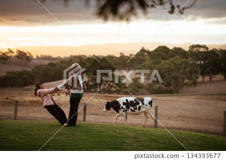Enjoying a Serene Sunset with Friends and a Cow on the Beautiful Farm 134393677