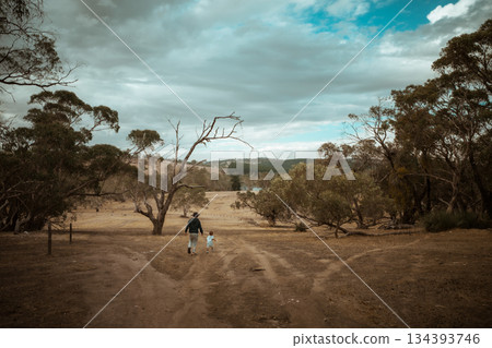 Enjoy a peaceful and serene landscape walk with dogs under a cloudy sky Enjoy a peaceful and serene landscape walk with dogs under a cloudy sky 134393746