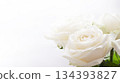 bouquet of white roses on a white background in the corner of the photo 134393827