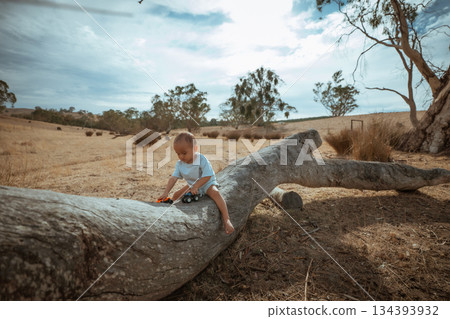 A Child joyfully Playing on a large fallen Tree in a Scenic Rural Landscape 134393932