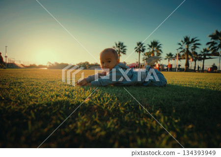 An Adorable Baby Crawling on Lush Green Grass at Sunset in a Scenic Park 134393949