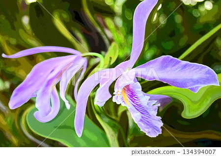 A soothing window where orchids bloom A soothing window where orchids bloom 134394007