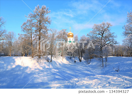 Russian nature in winter, Christmas background. After a snowfall, tree branches are covered with snow and sparkle in the sun, severe frost and low temperatures. 134394327