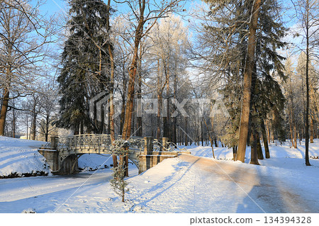 Russian village in winter After a snowfall, the branches of the trees are covered with snow and sparkle in the sun. This is a beautiful winter background Russian village in winter After a snowfall, the branches of the trees are covered with snow and sparkle in the sun. This is a beautiful winter background 134394328