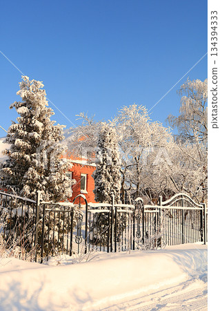Winter house in the countryside with snow-covered fir trees and snowdrifts. The beauty of the winter season for travel in extreme conditions. A beautiful winter invitation card for tourists Winter house in the countryside with snow-covered fir trees and snowdrifts. The beauty of the winter season for travel in extreme conditions. A beautiful winter invitation card for tourists 134394333