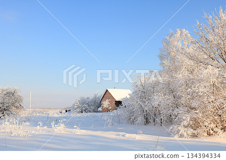 Winter house in the countryside with snow-covered fir trees and snowdrifts. The beauty of the winter season for travel in extreme conditions. A beautiful winter invitation card for tourists 134394334