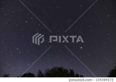 Spring starry scenery: The rising Big Dipper 134394573
