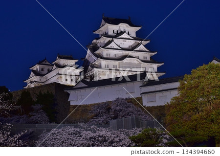 Himeji Castle Spring Light-up 134394660