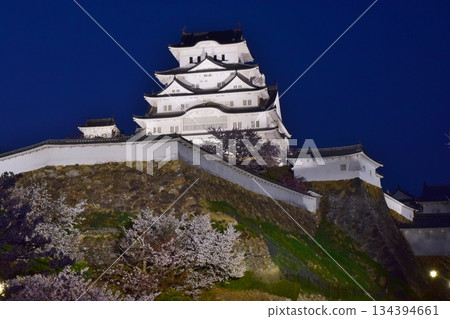 Himeji Castle Spring Light-up 134394661