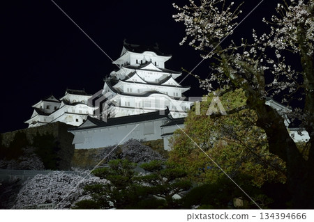 Himeji Castle Spring Light-up 134394666