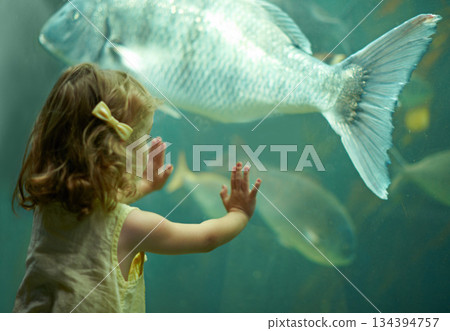 Girl, aquarium and kid looking at fish for learning, curiosity and knowledge, development and nature. Education, fishtank and child watching marine life or animals swim underwater in oceanarium. 134394757
