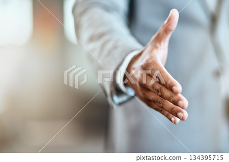 Handshake, offer and business man success, partnership agreement or introduction in job welcome. Professional person shaking hands in pov meeting, deal congratulations and thank you on mockup space Handshake, offer and business man success, partnership agreement or introduction in job welcome. Professional person shaking hands in pov meeting, deal congratulations and thank you on mockup space 134395715