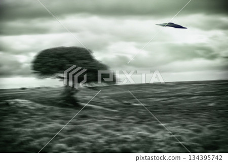 UFO, spaceship and nature for alien invasion, fantasy and science fiction with tree in field. Earth, aliens or environment, landscape and countryside with extraterrestrial drone in motion blur 134395742