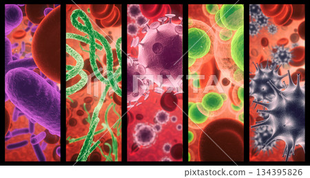 Virus, infection and cell structure of disease closeup in series for medical investigation or research. Covid, bacteria and healthcare with a microscope view of living molecule samples for biology Virus, infection and cell structure of disease closeup in series for medical investigation or research. Covid, bacteria and healthcare with a microscope view of living molecule samples for biology 134395826