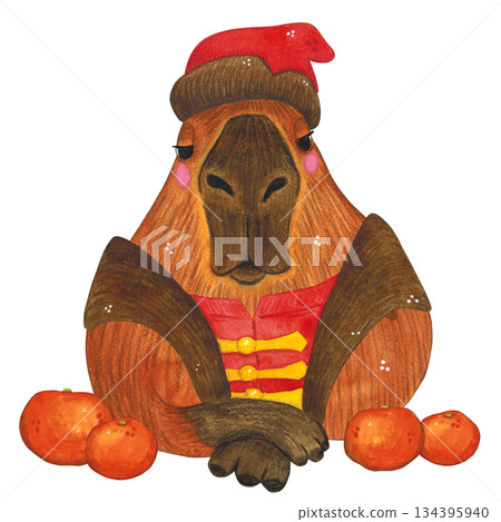 A capybara in a hat and caftan, a folk costume among oranges. Hand-drawn watercolor illustration. Design suitable for printing on cakes, stickers, posters, and fabric. Animal, fruit, tradition A capybara in a hat and caftan, a folk costume among oranges. Hand-drawn watercolor illustration. Design suitable for printing on cakes, stickers, posters, and fabric. Animal, fruit, tradition 134395940
