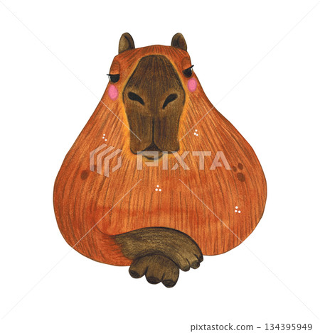 Capybara arrogant lies. Watercolor illustration hand drawn cartoon. Drawing for printing on cake, stickers, poster, fabric. Animal, rodent, brown, children, capybara Capybara arrogant lies. Watercolor illustration hand drawn cartoon. Drawing for printing on cake, stickers, poster, fabric. Animal, rodent, brown, children, capybara 134395949