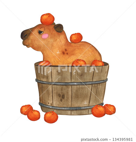 Capybara sits in a barrel with oranges. Watercolor illustration hand drawn cartoon. Drawing for printing on cake, stickers, poster, fabric. Animal, rodent, brown, children, kids Capybara sits in a barrel with oranges. Watercolor illustration hand drawn cartoon. Drawing for printing on cake, stickers, poster, fabric. Animal, rodent, brown, children, kids 134395981