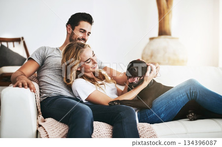 Smile, relax or happy couple with a dog on house sofa bonding or hugging with trust or loyalty together. Pet, animal lovers or woman enjoys playing with cute pitbull puppy with care on couch at home Smile, relax or happy couple with a dog on house sofa bonding or hugging with trust or loyalty together. Pet, animal lovers or woman enjoys playing with cute pitbull puppy with care on couch at home 134396087
