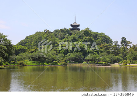 The large pond and three-story pagoda at Sankeien Garden 134396949