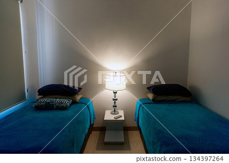 Serene Double Bedroom with Modern Bedside Lamp Serene Double Bedroom with Modern Bedside Lamp 134397264