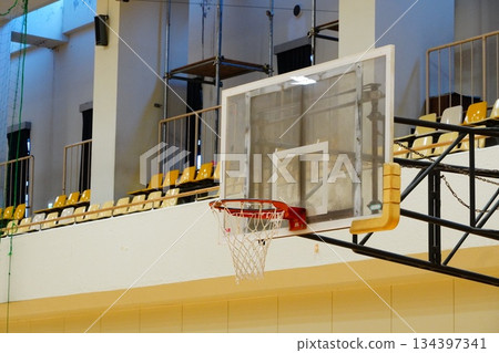 籃球目標 134397341