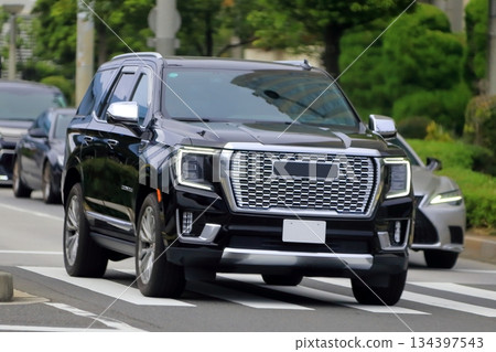 Image of an American full-size SUV 134397543