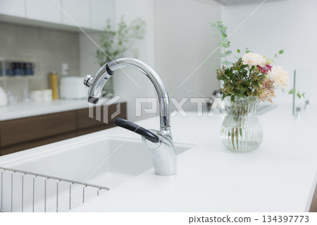 Fashionable kitchen Fashionable kitchen 134397773