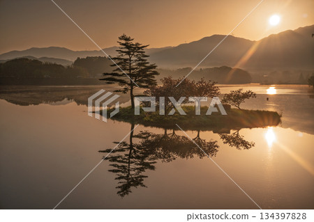 Photographing double cherry blossoms reflected on the surface of the floating island at the Hino River Dam in Murai, Hino Town, Gamo District, Shiga Prefecture 134397828