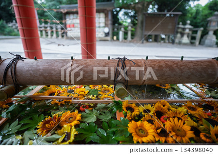 京都府八幡市岩清水八幡宮的花水噴泉照片 134398040
