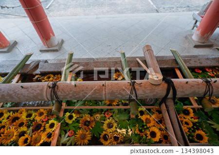 京都府八幡市岩清水八幡宮的花水噴泉照片 京都府八幡市岩清水八幡宮的花水噴泉照片 134398043