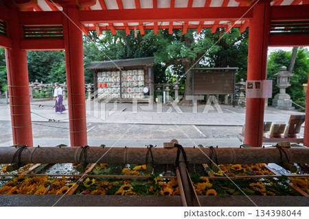 京都府八幡市岩清水八幡宮的花水噴泉照片 134398044