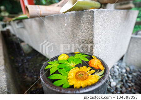 京都府八幡市岩清水八幡宮的花水噴泉照片 134398055