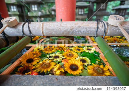 Flower water fountain photographed at Iwashimizu Hachimangu Shrine in Yawata City, Kyoto Prefecture 134398057