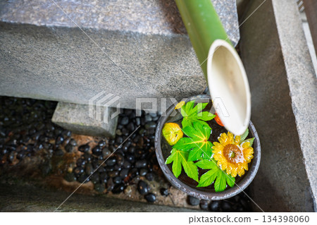 京都府八幡市岩清水八幡宮的花水噴泉照片 134398060