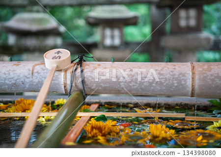 Flower water fountain photographed at Iwashimizu Hachimangu Shrine in Yawata City, Kyoto Prefecture 134398080