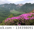 Miyamakirishima flowers on Mt. Heiji - stock photos 134398091