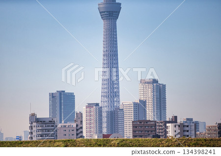 Tokyo Sky Tree and Buildings 134398241