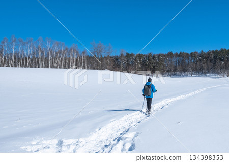 中山高原雪地徒步 中山高原雪地徒步 134398353