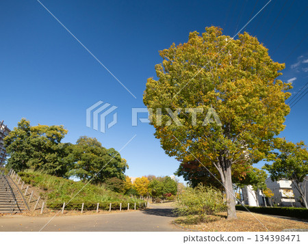 千葉縣流山大鷹之森站附近的住宅區 134398471