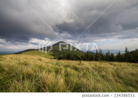 Panoramic summer view, green grassy valley on distant woody mountains background under cloudy sky. Panoramic summer view, green grassy valley on distant woody mountains background under cloudy sky. 134398551