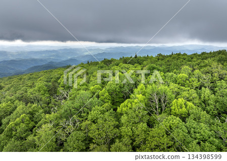 Nature landscape of Tennessee Appalachian mountains. Mountain forest with green canopies in summer rain season Nature landscape of Tennessee Appalachian mountains. Mountain forest with green canopies in summer rain season 134398599