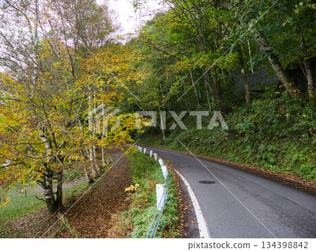 Autumn scenery of the forest and road in Kamikochi, a tourist attraction Autumn scenery of the forest and road in Kamikochi, a tourist attraction 134398842