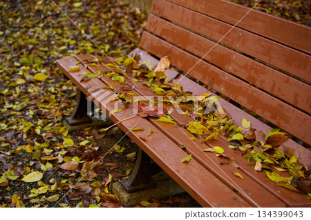 Scenery of park benches and fallen autumn leaves after the autumn rain Scenery of park benches and fallen autumn leaves after the autumn rain 134399043